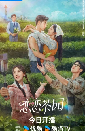 Дорама Любовь в чайном саду онлайн