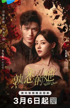 Дорама Дикая роза онлайн